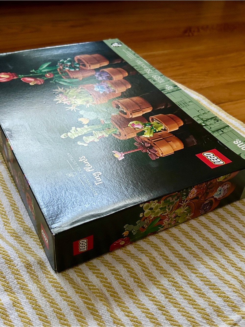 LEGO Icons Botanical Collection Tiny Plants set (10329) - Picture 9 of 11